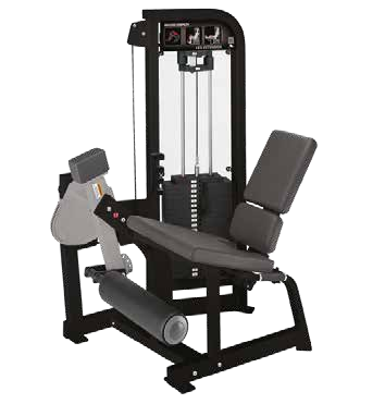 Hammer Select Leg Curl