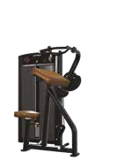 Insignia Biceps Curl